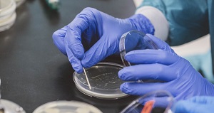 Бактериологи­ческие методы исследования-дистанционное обучение